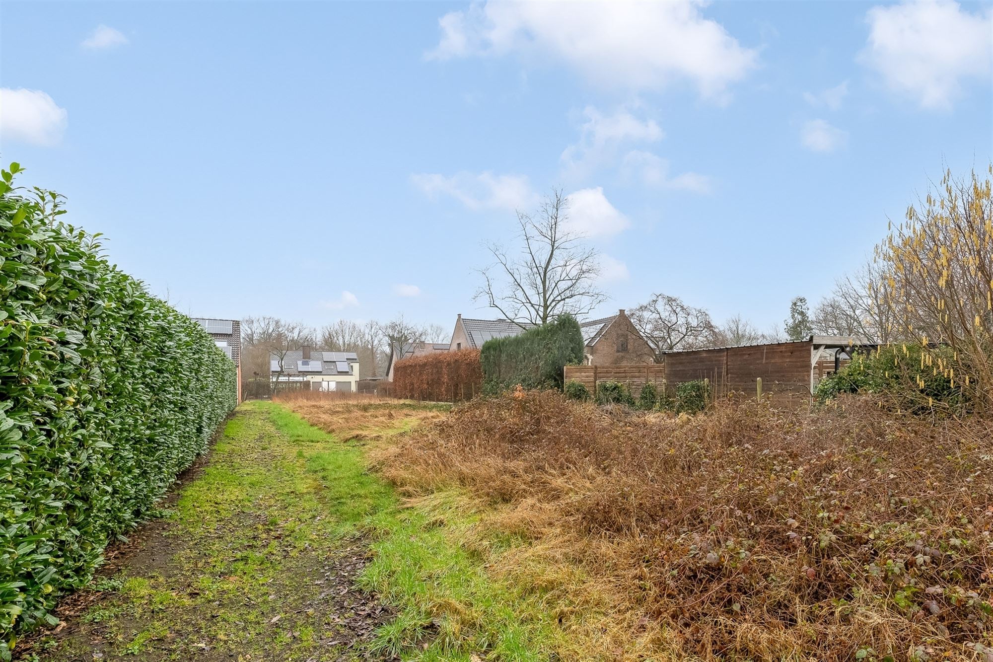 ZUIDELIJK GEORIËNTEERDE BOUWGROND VOOR HOB VAN 1045M² foto 8