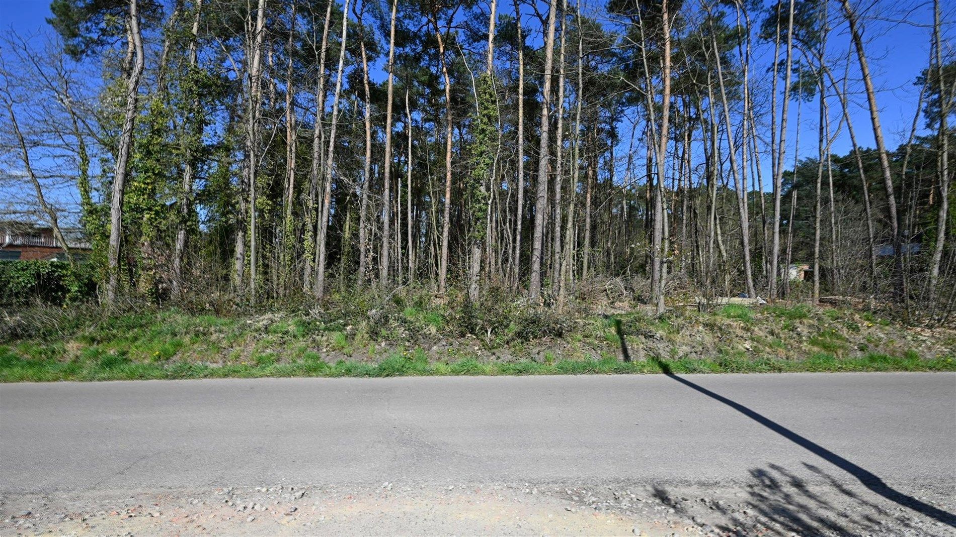 Mooi en rustig gelegen villagrond van 35a te Tremelo foto 5