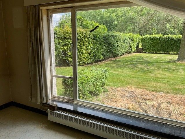 Te renoveren vrijstaande woning op ruim perceel tussen Bocholt en Bree – rust en potentieel op meer dan 32 are foto 6