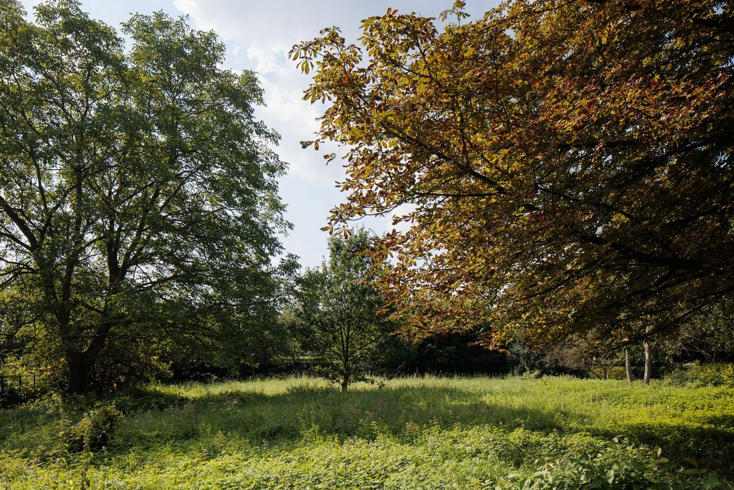 Uitstekend gelegen bouwgrond van ca. 1.032m2 voor HOB. foto 3