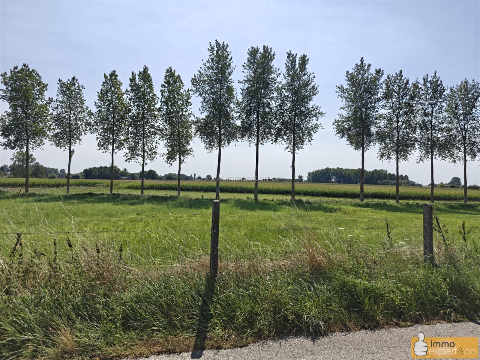 PAJOTTEGEM: Bouwgrond voor HOB op 4a 35ca foto 7