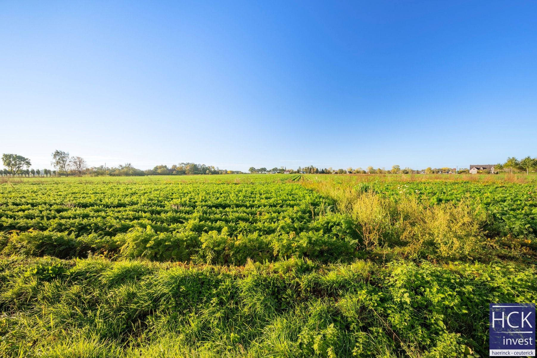 ZULTE - Mooi gelegen alleenstaande woning op 1117 m²! foto 25