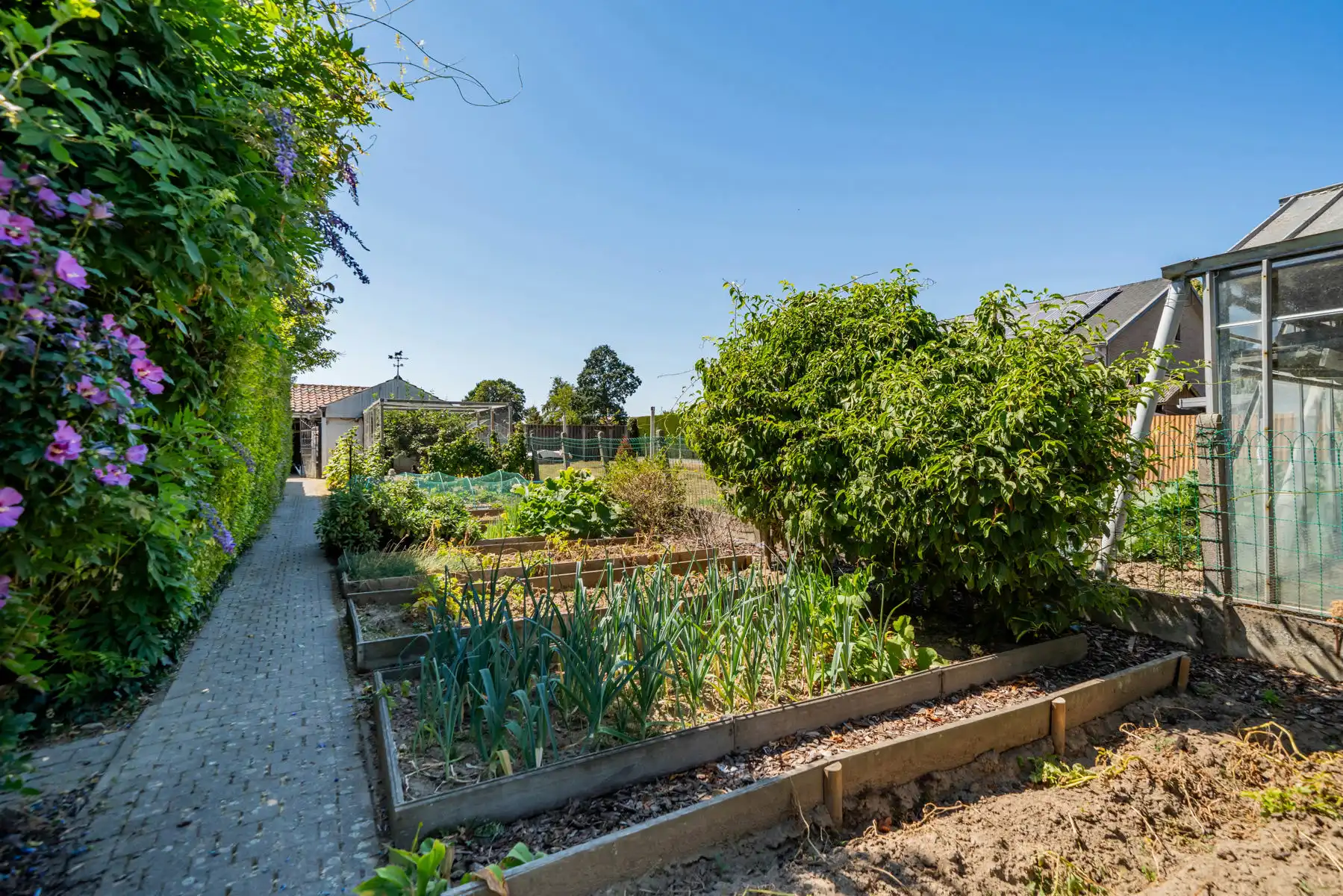 HOB instapklare gezinswoning met tuin! foto 20