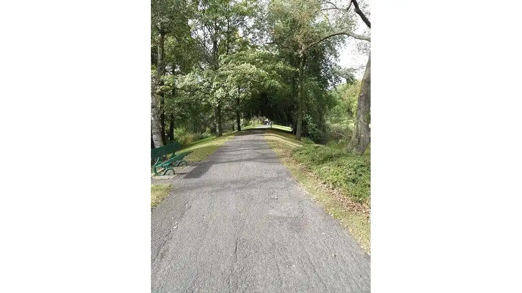 Comfortabele 2-slaapkamerwoning met Terras te koop in Brugge foto 13