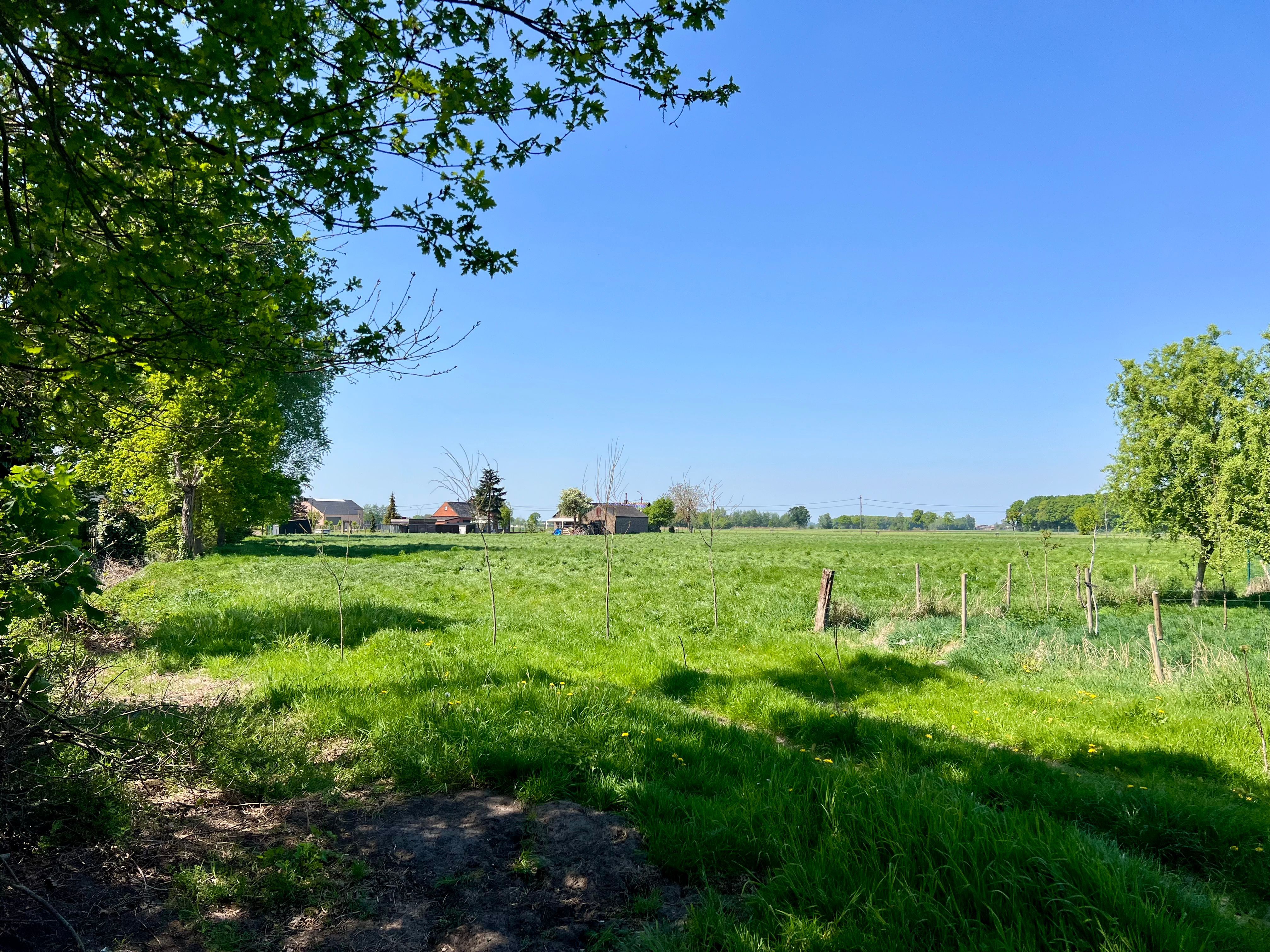 Te renoveren, nieuwbouw open bebouwing of verkaveling koppelwoning foto 9