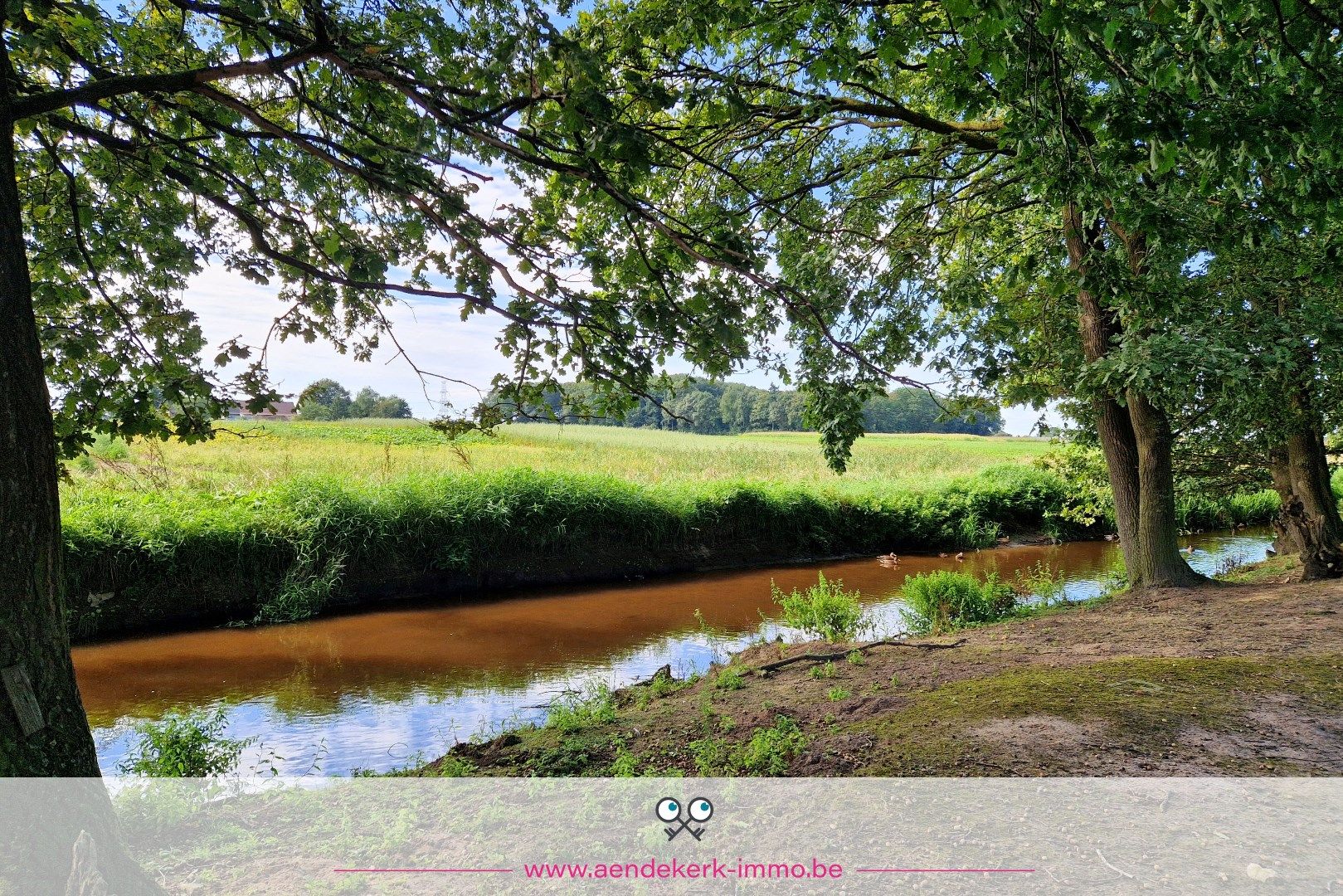 Charmant bouwproject met idyllische ligging in Ophoven foto 7