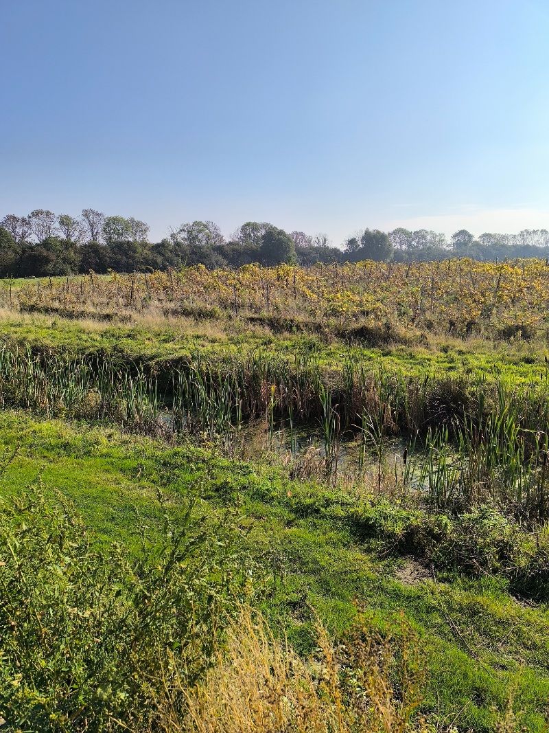 Hoeve foto 5