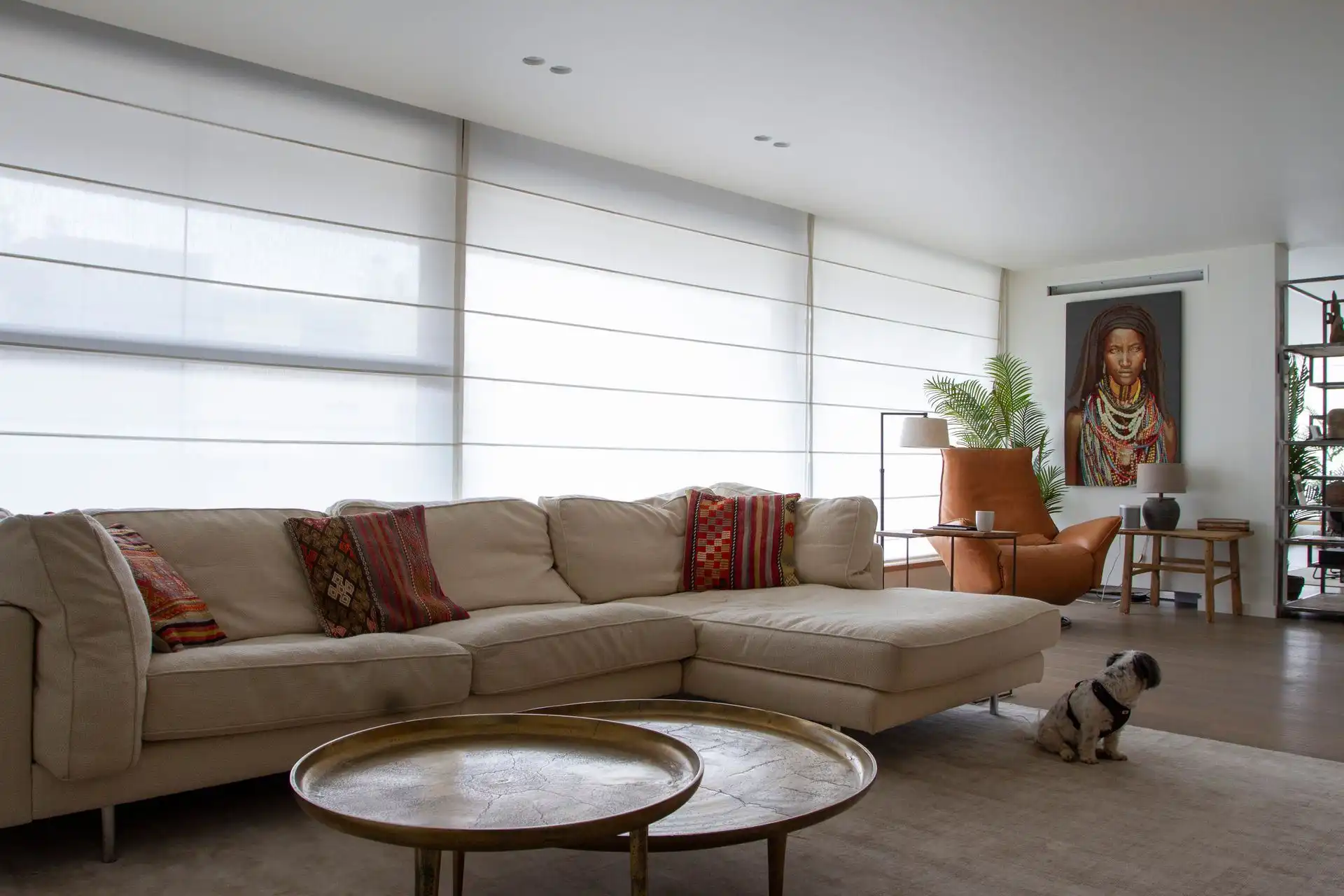 penthouse foto 5