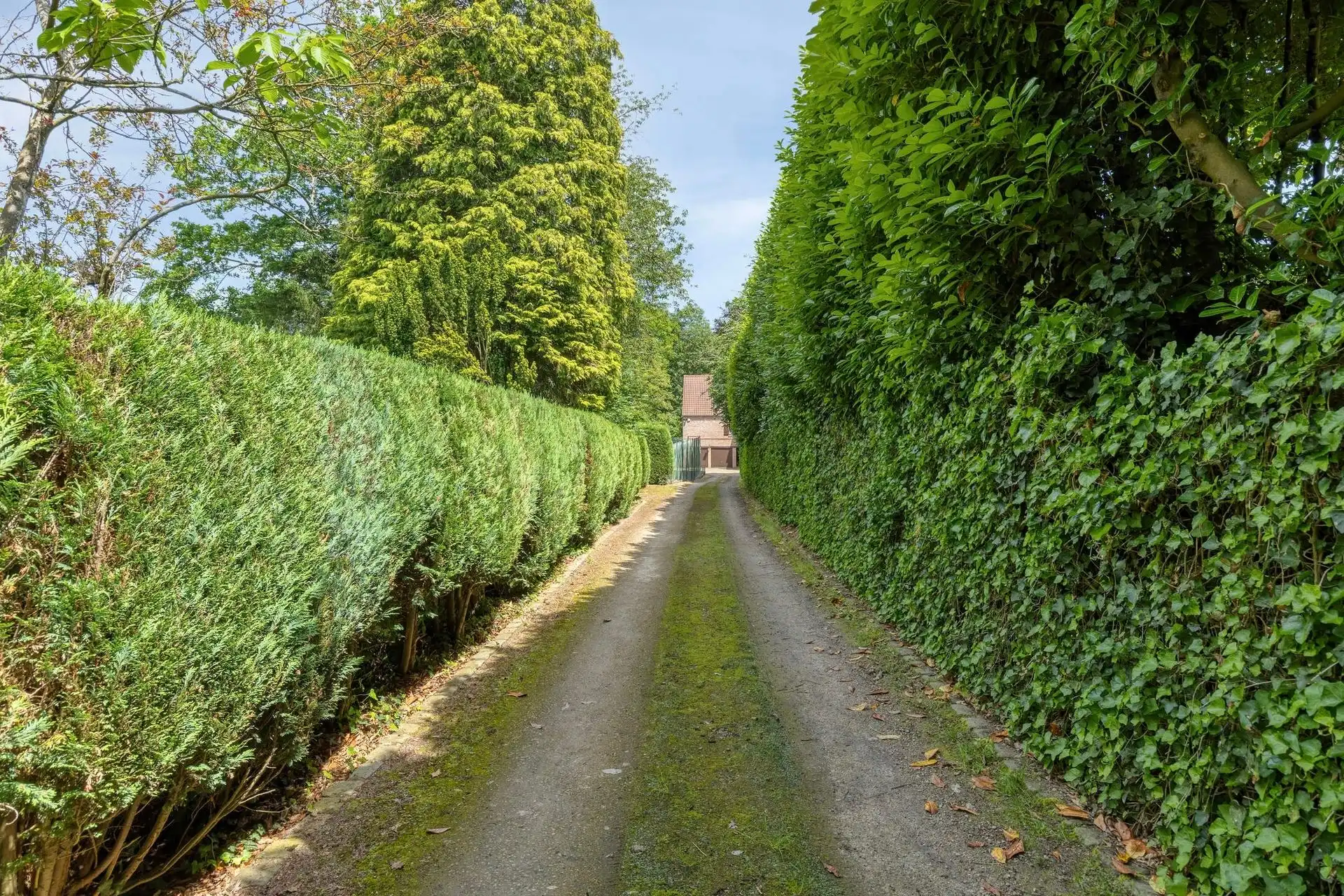 Prachtige klassieke villa op een perceel van ± 7.500 m²  foto 4