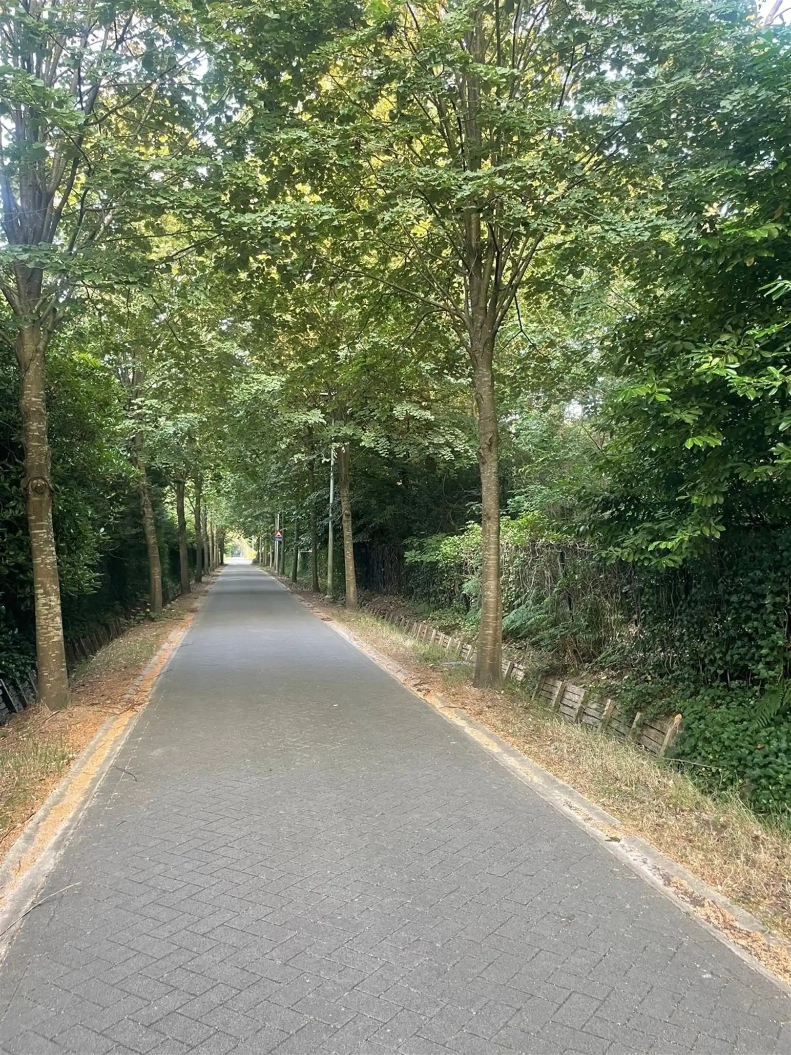 Open bouwgrond van ca. 3.755 m² foto 13