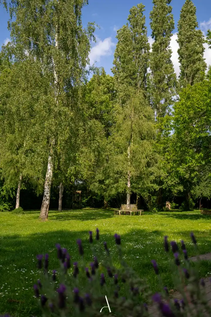 Authentieke langegevelhoeve op ruim 1 hectare in landelijke omgeving van Molenbeersel foto 17