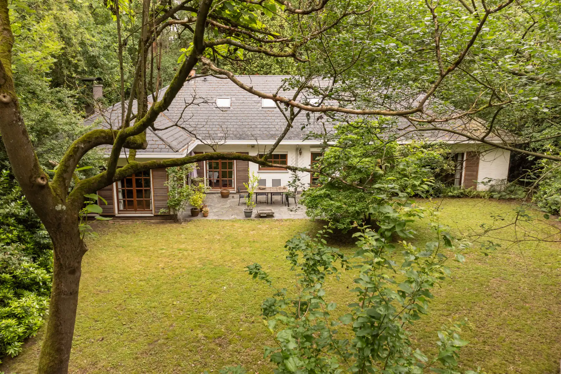 Hof Ter Linden volledig te renoveren villa op 2000 m² foto 6