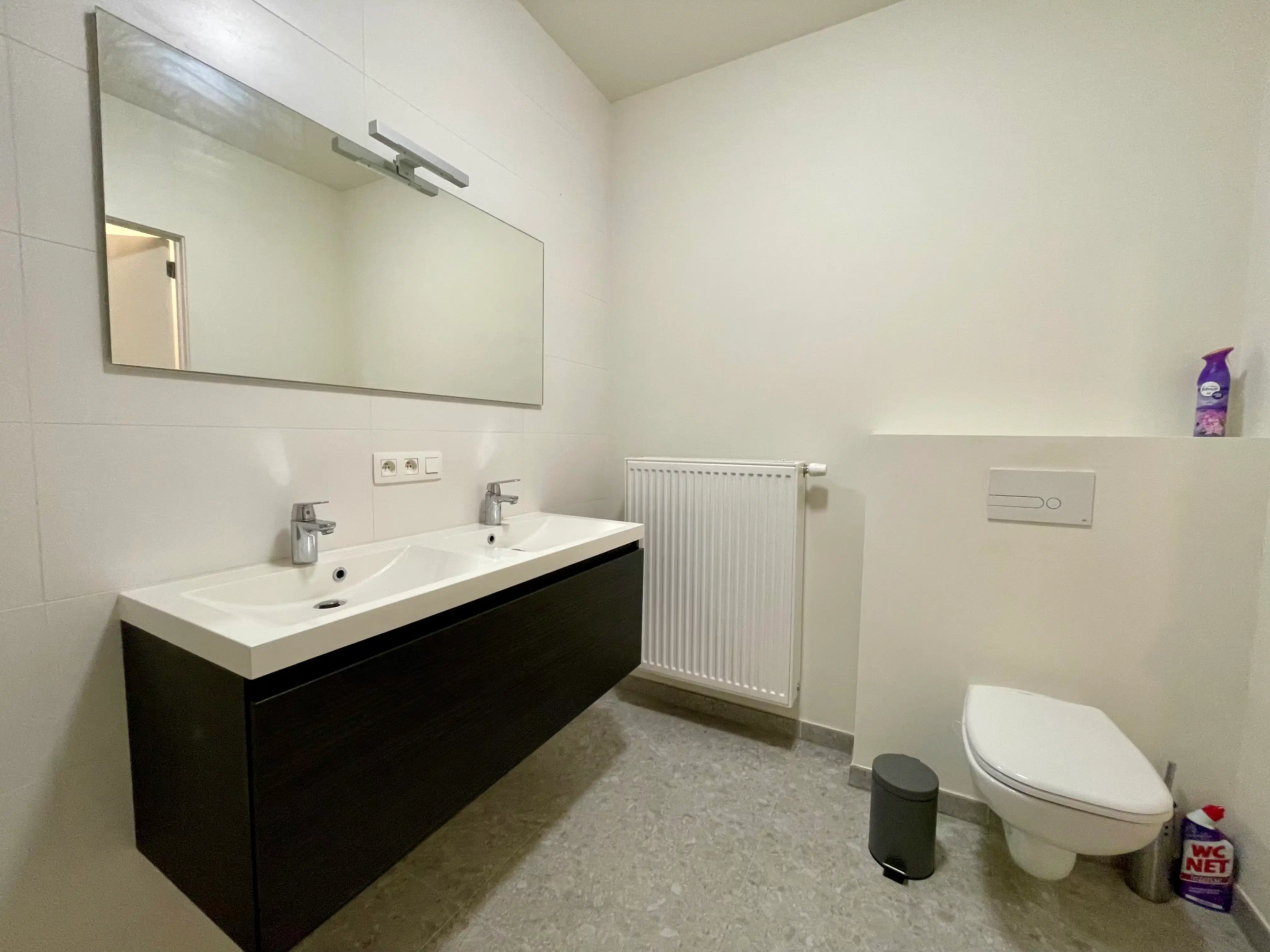 Ruim appartement met 3 slaapkamers en 2 badkamers te Gent foto 15