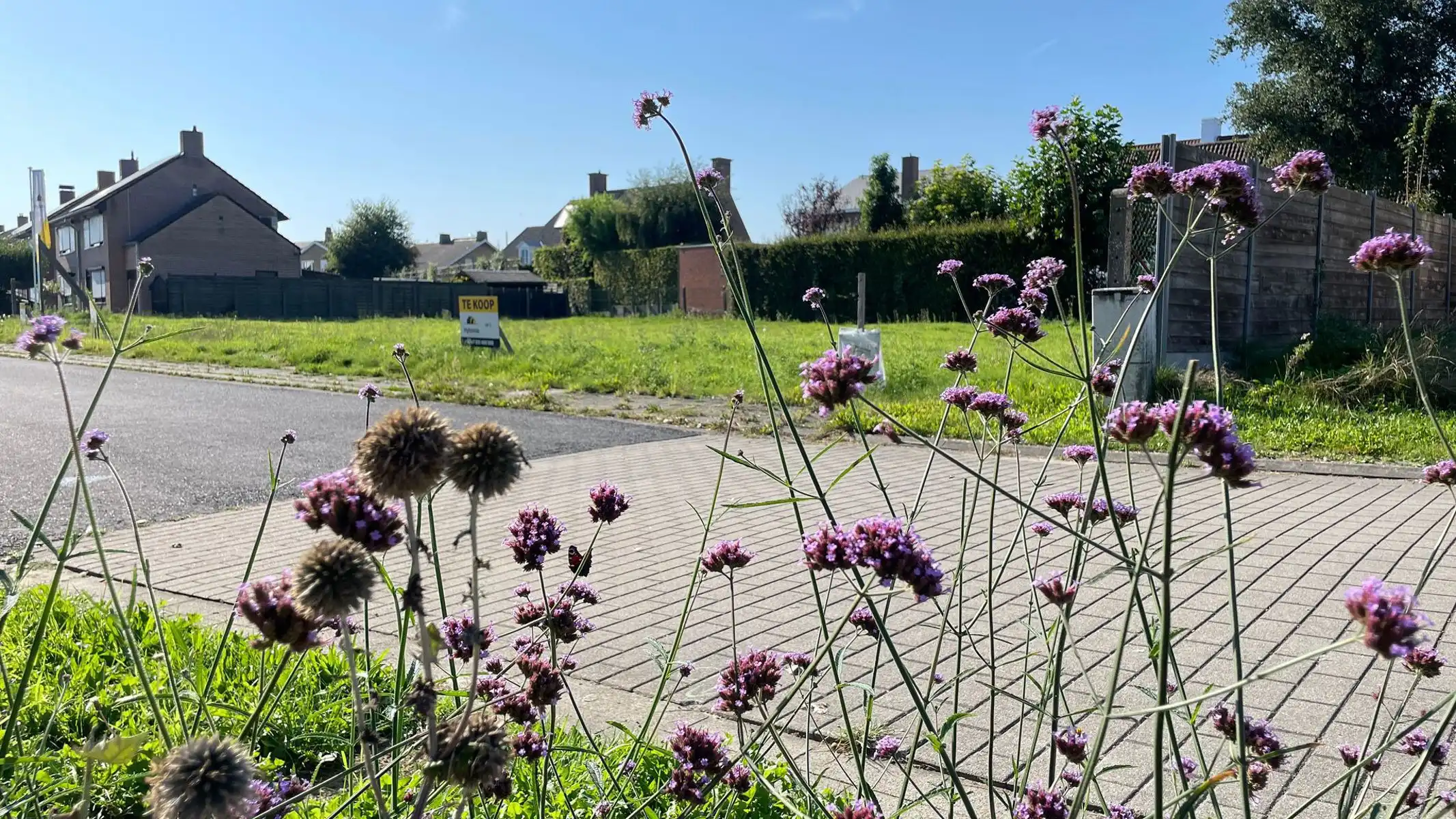 Moderne, vrijstaande woning foto 4