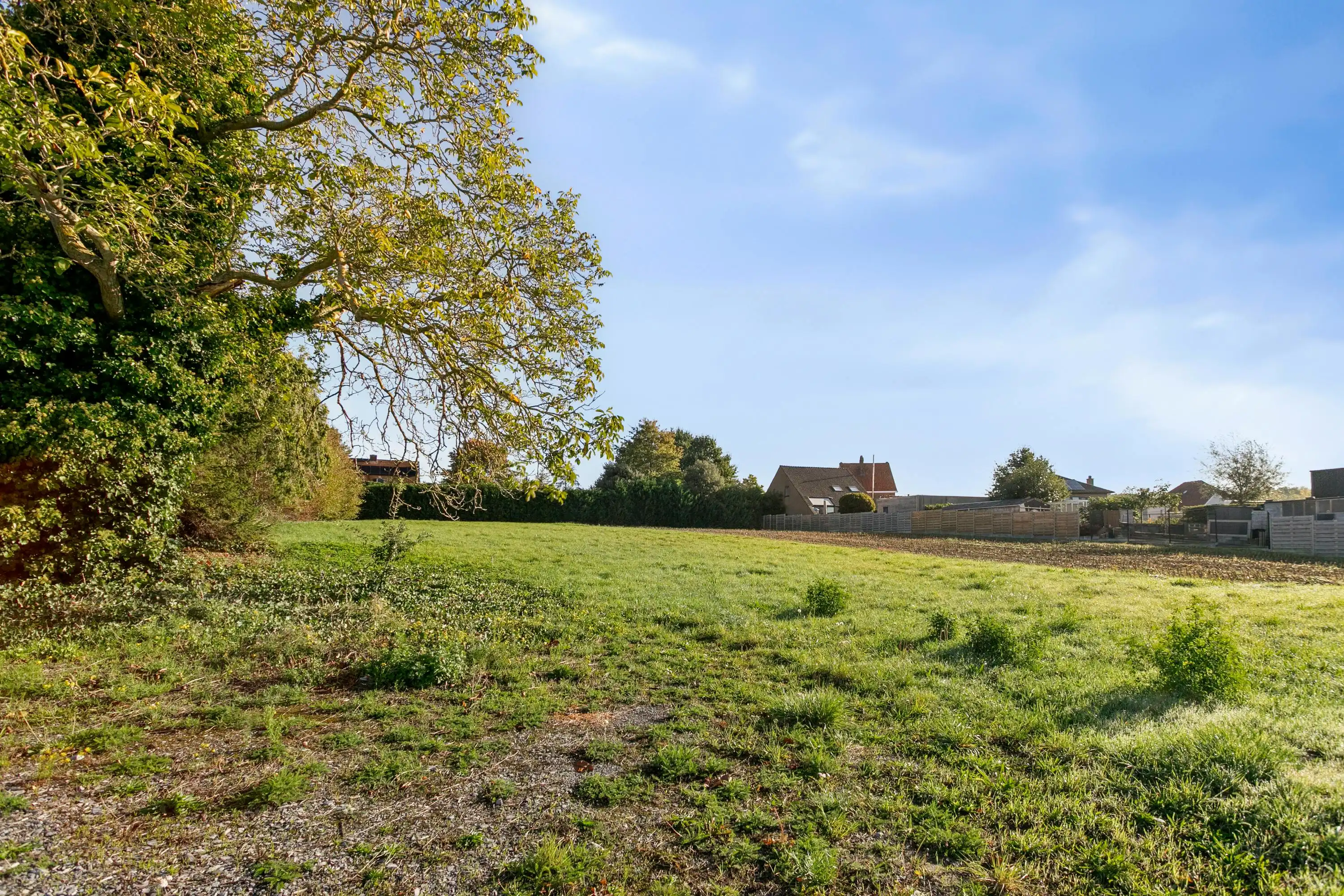 Bouwgrond voor open bebouwing te koop in Waregem foto 4