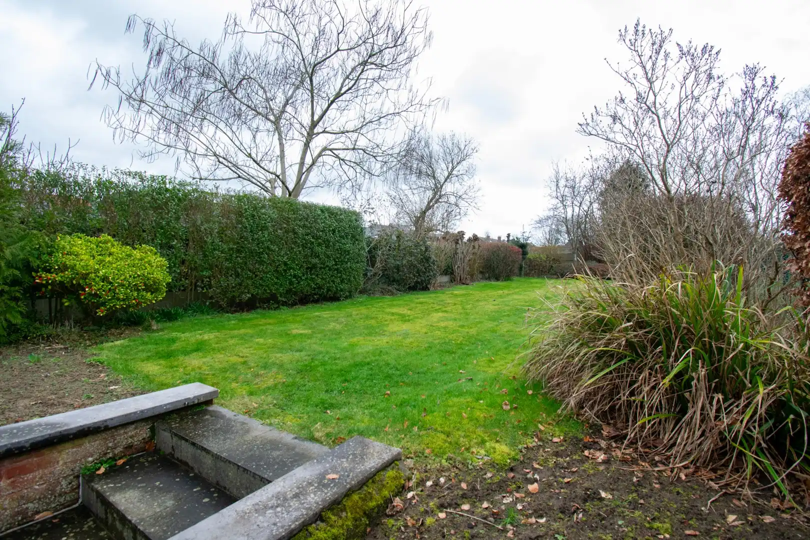 Instapklare woning met stadstuin foto 6