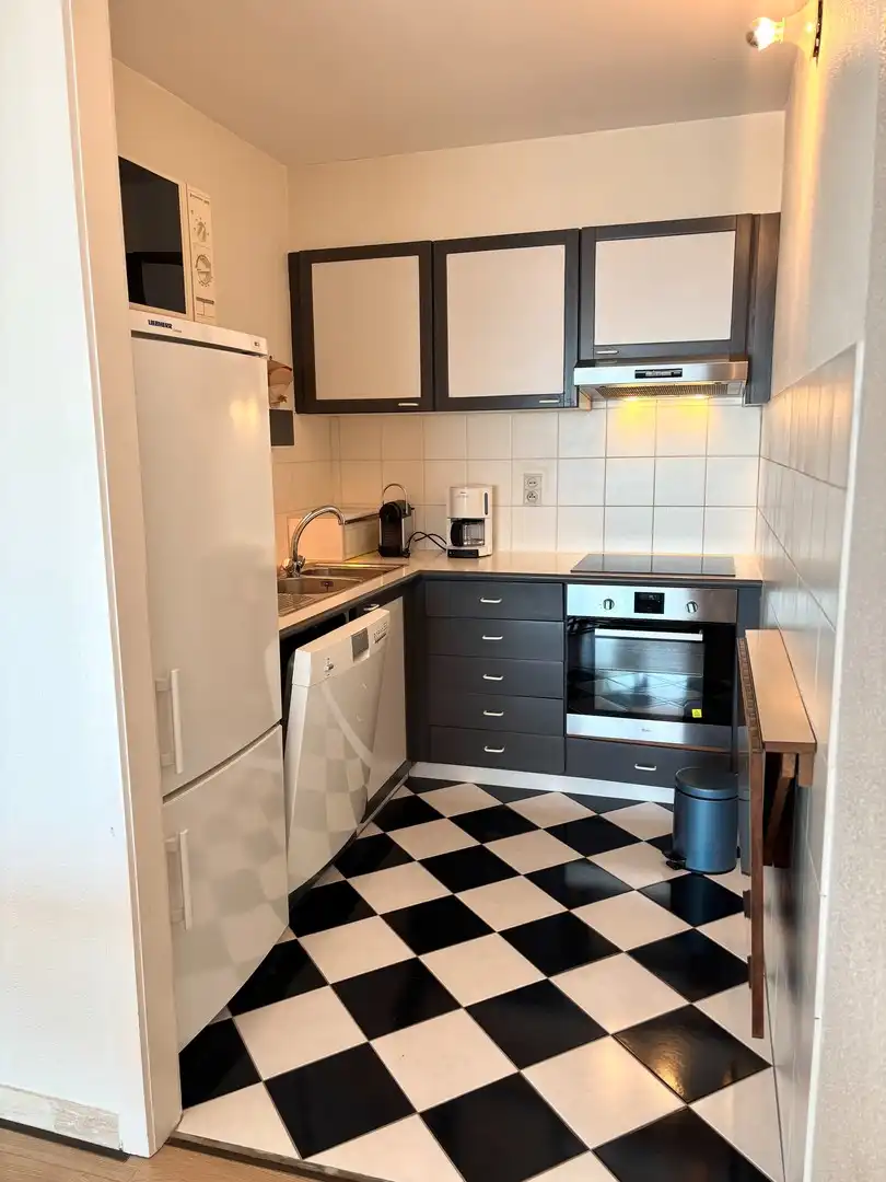 Verzorgd appartement op de zeedijk van Nieuwpoort-bad foto 8