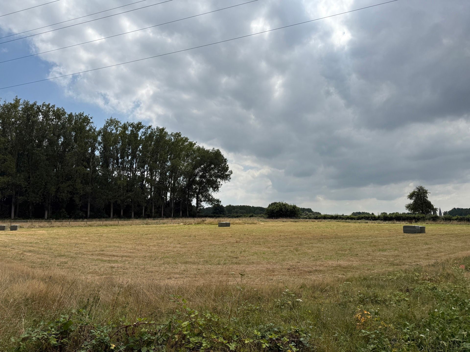 ROOSDAAL - Goed bereikbare weide op +-45a foto 2