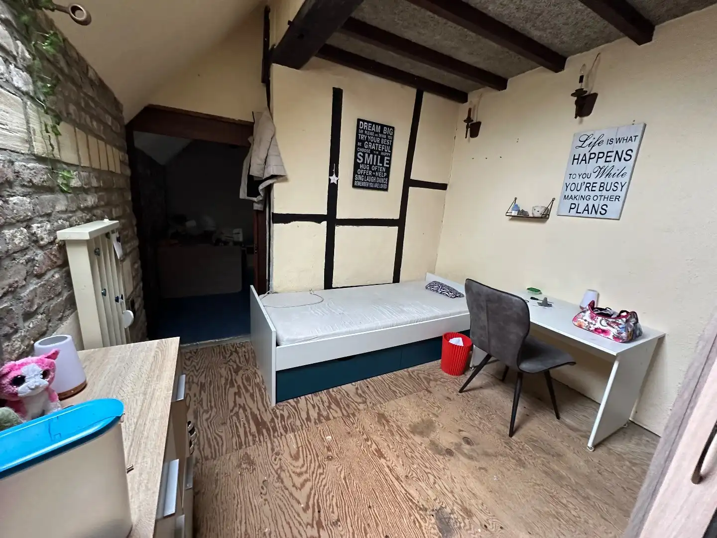 Unieke woning met enorm potentieel op perceel van 96 Are foto 34