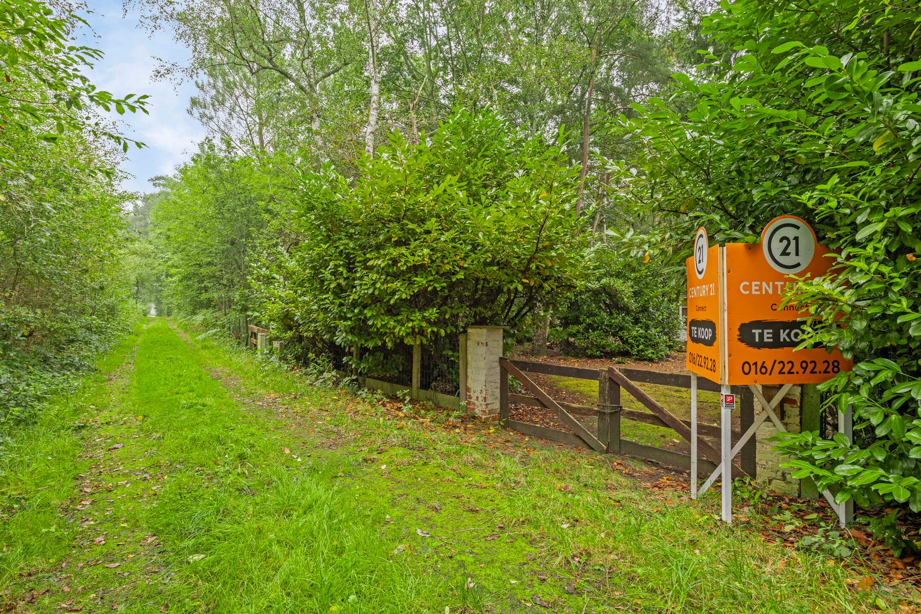 Genieten van eenvoud in een groen kader foto 20