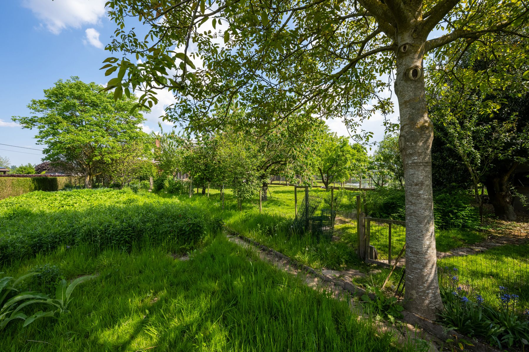 Charmante fermette op perceel van 1548m² mooie tuin + oprit! foto 22