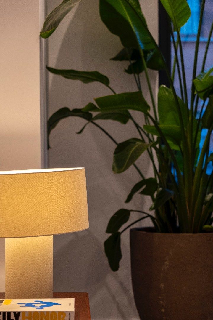 KLASSEVOL GERENOVEERDE WONING NABIJ CENTRUM EN STRAND OOSTENDE foto 6