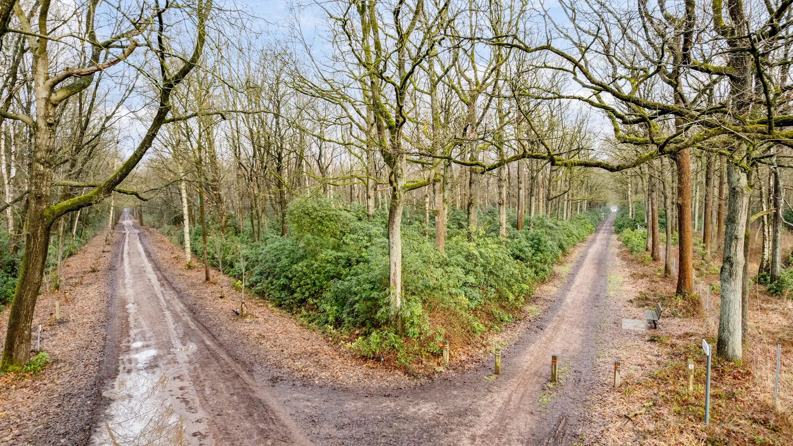 Perceel bosgrond te Gooreind! foto 8