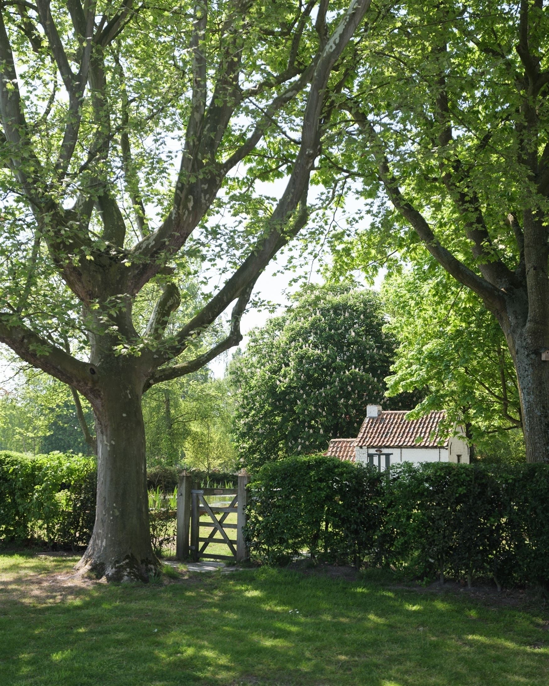 Magnifiek gerenoveerde hoeve foto 22