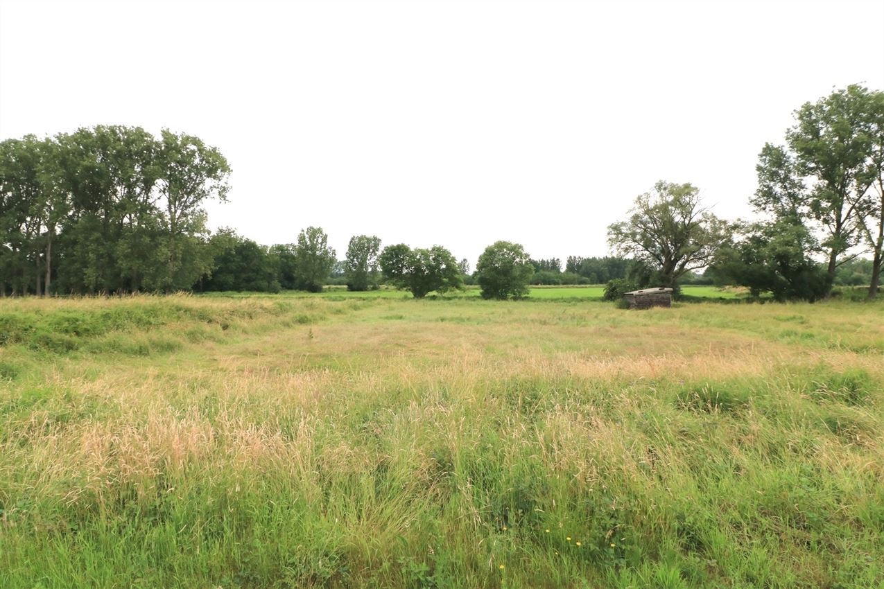 Rustig gelegen, 955 m² groot, voor HOB foto 11