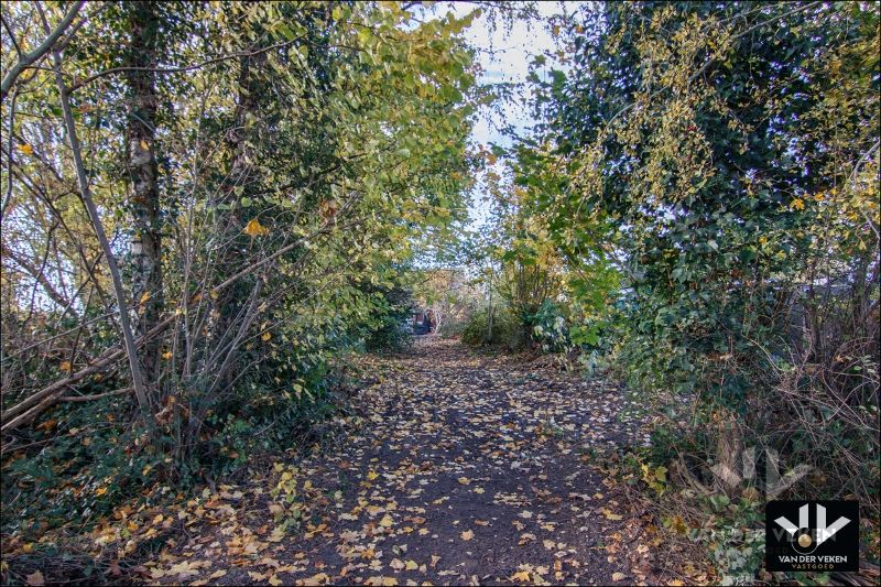 Karaktervolle, te renoveren woning op een perceel van ruim 12 aren. Ideaal gelegen nabij het centrum van Tongeren! foto 22