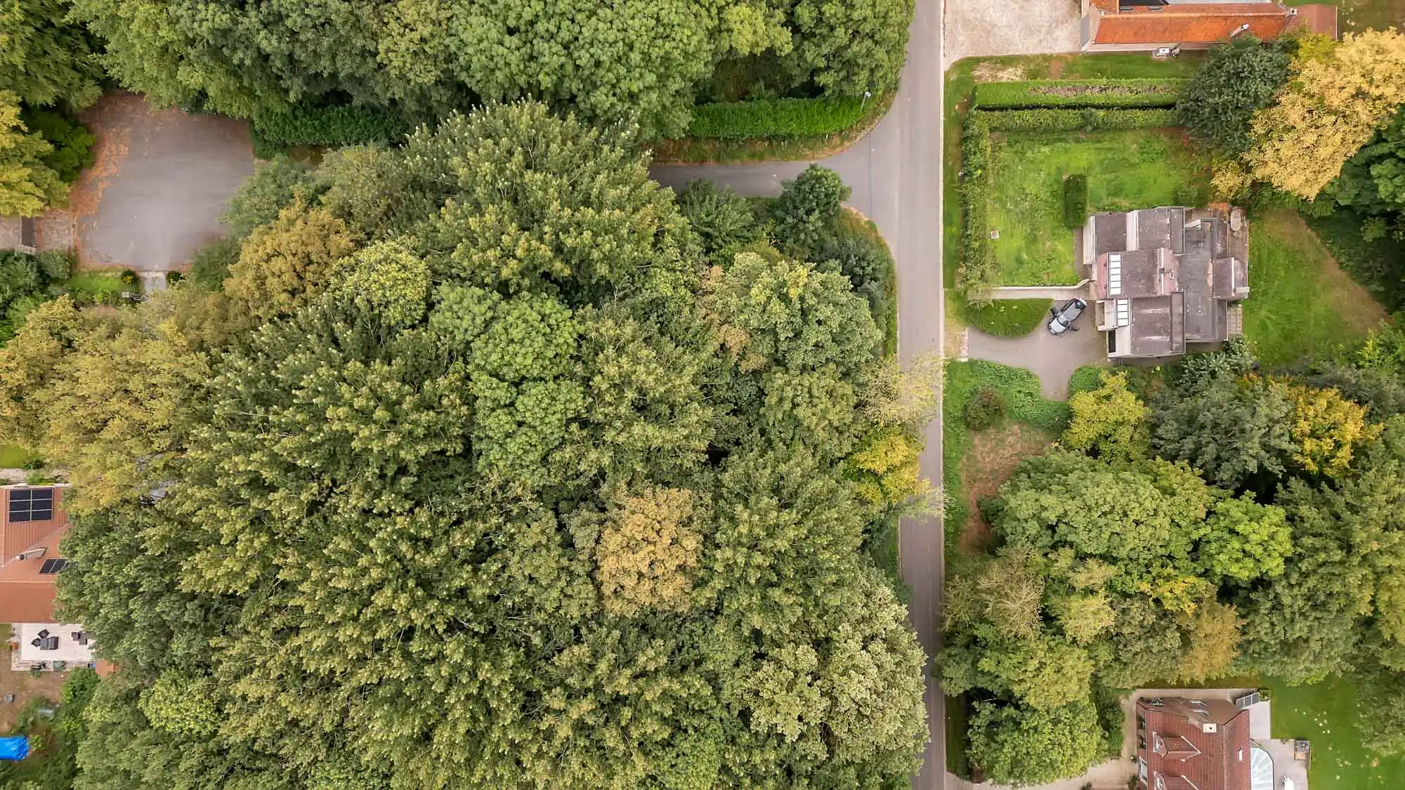 Exclusieve bouwgrond te koop in Lettelingen! foto 4