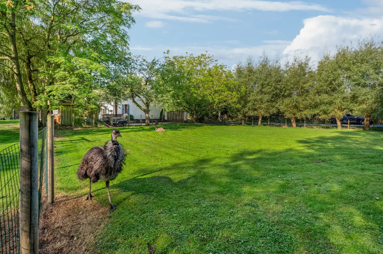 Charmante hoeve in een oase van groen foto 29