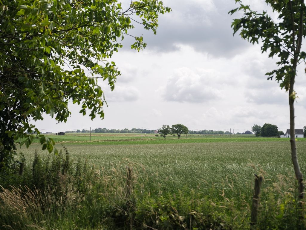 Dikkelvenne – Terrein van 2.179 m² met op heden nog een te renoveren hoeve, omgeven door groen en weides. foto 25