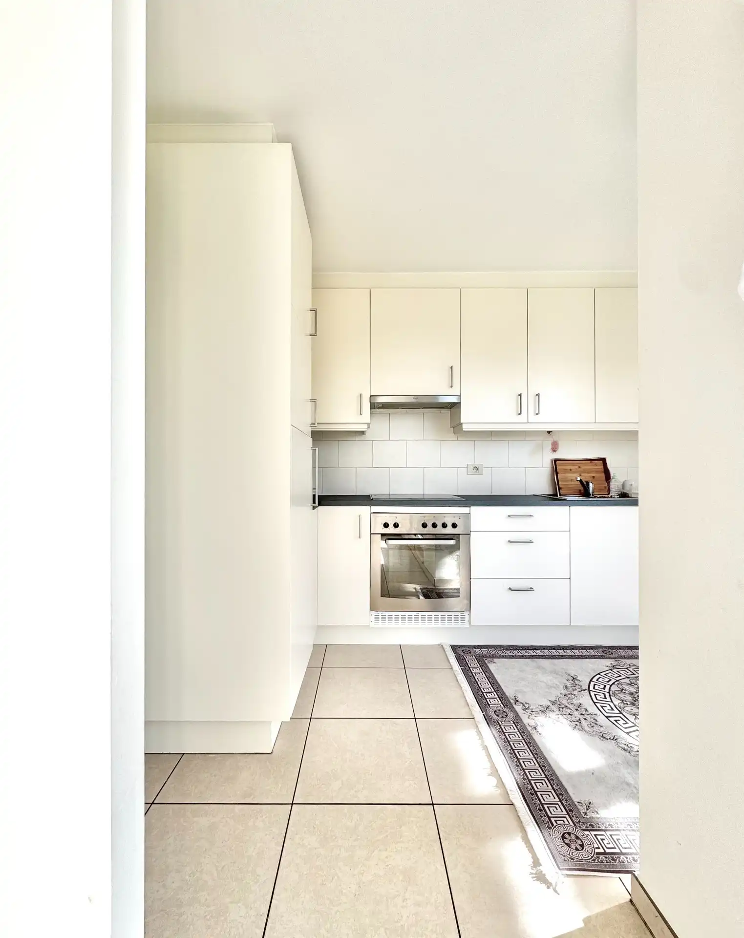 LICHTRIJK APPARTEMENT MET ZONNETERRAS EN 2 KAMERS foto 9