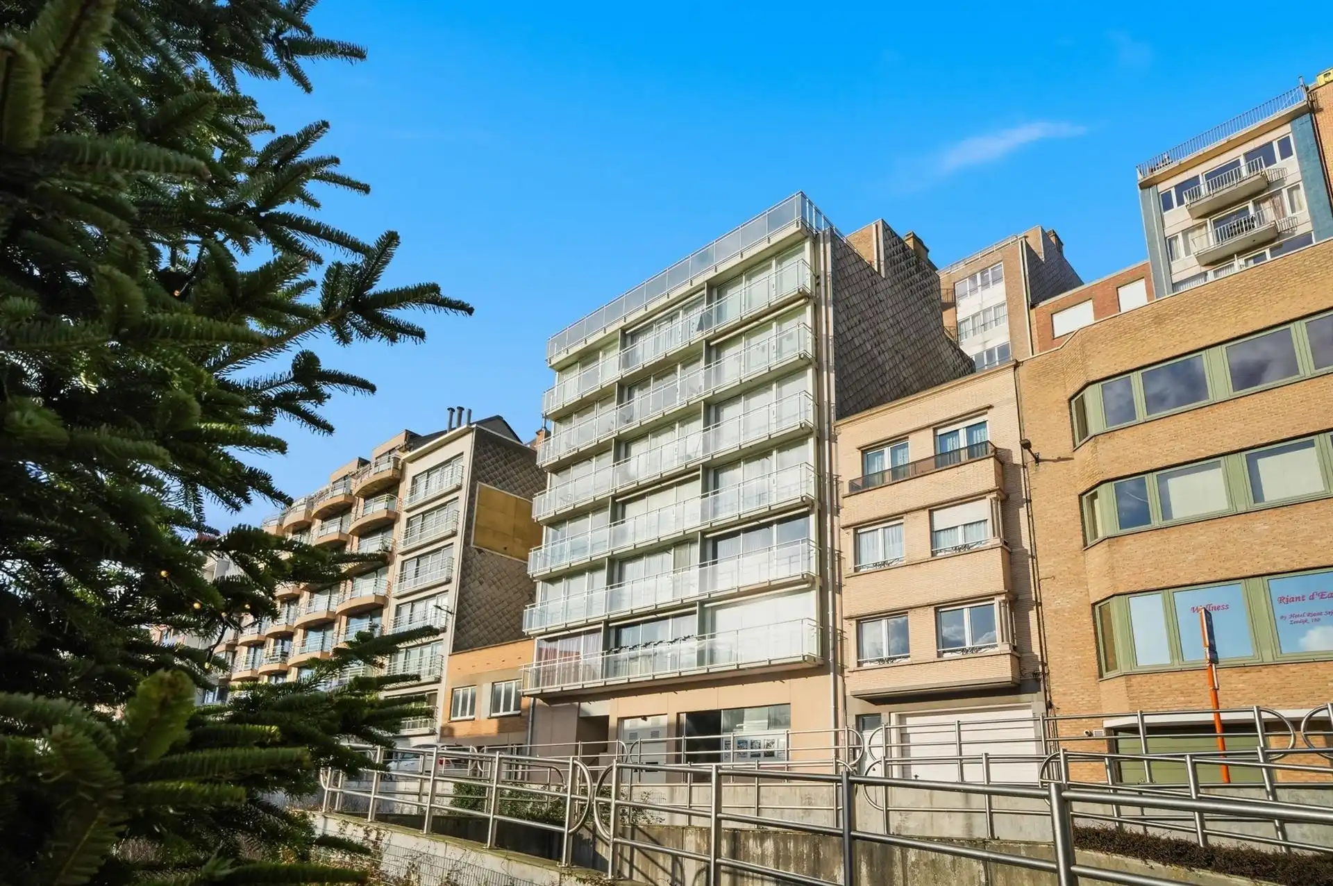 GROTE TERRASSEN / ZONNIG  foto 44