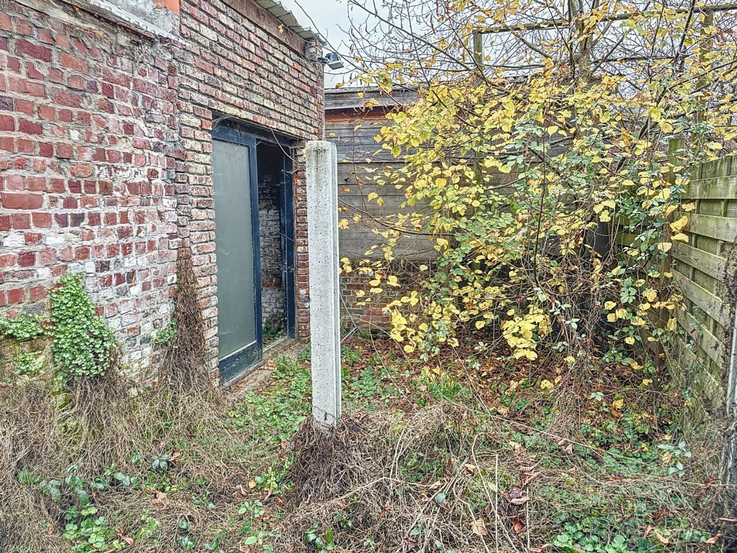 Volledig te renoveren woning te Watou foto 6