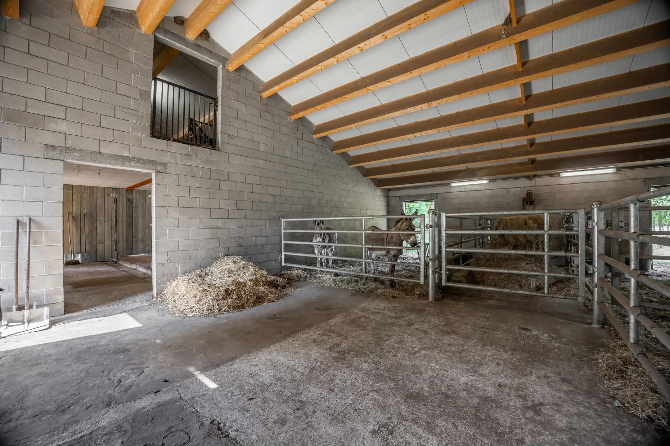 Unieke hoeve op een domein van maar liefst 8,56 Ha foto 13
