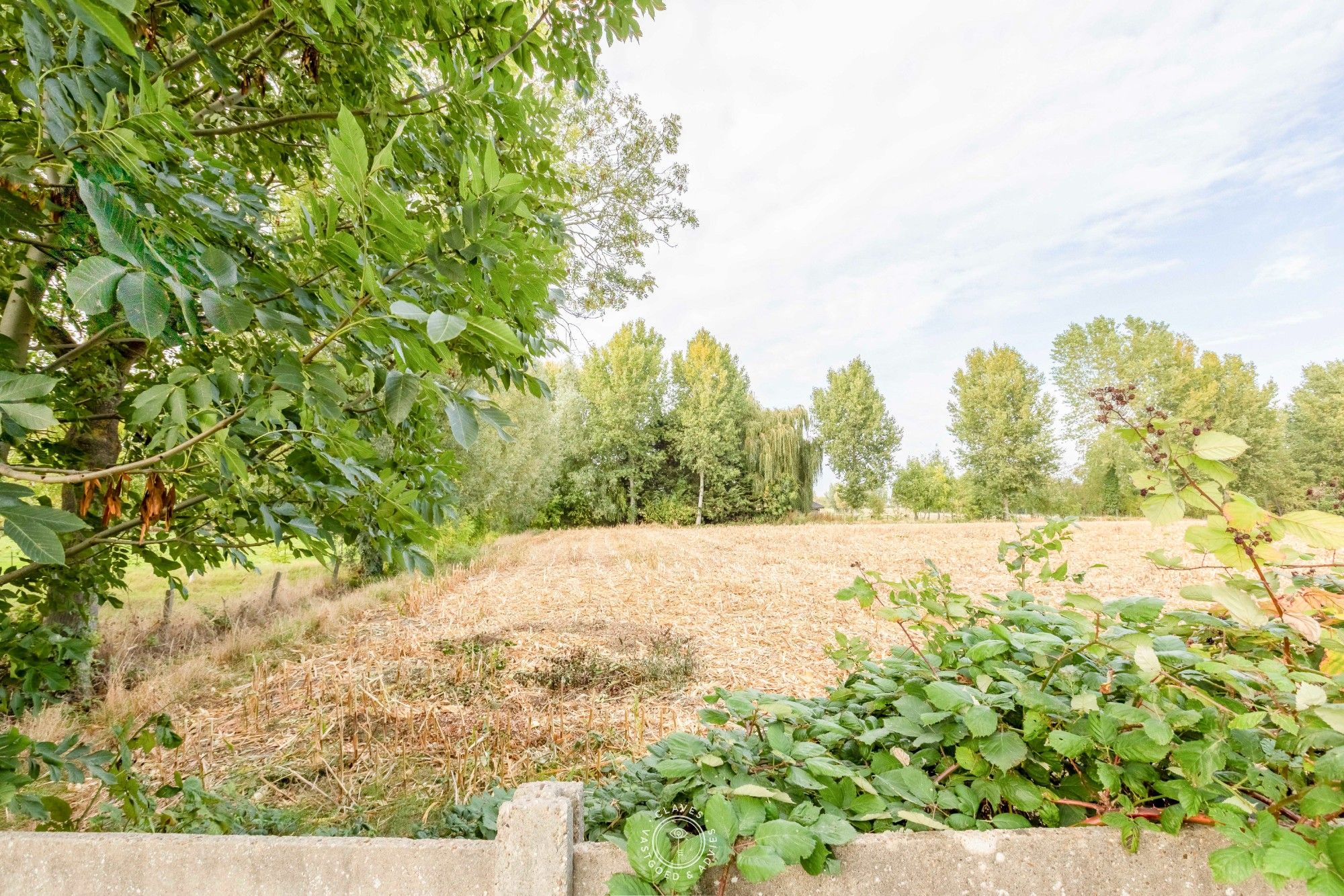 Ruime gezinswoning met fijne tuin en mogelijkheid tot vijf slaapkamers foto 9