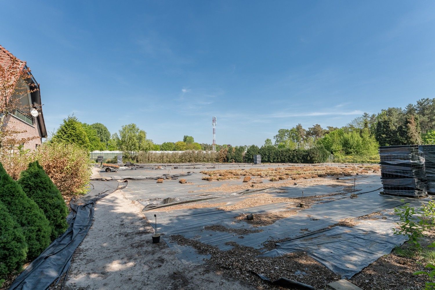 Uitgebreid Tuindersbedrijf met Woonhuis, Serres, Schermhallen en grote Bedrijfsloods op 2ha56a77! foto 20