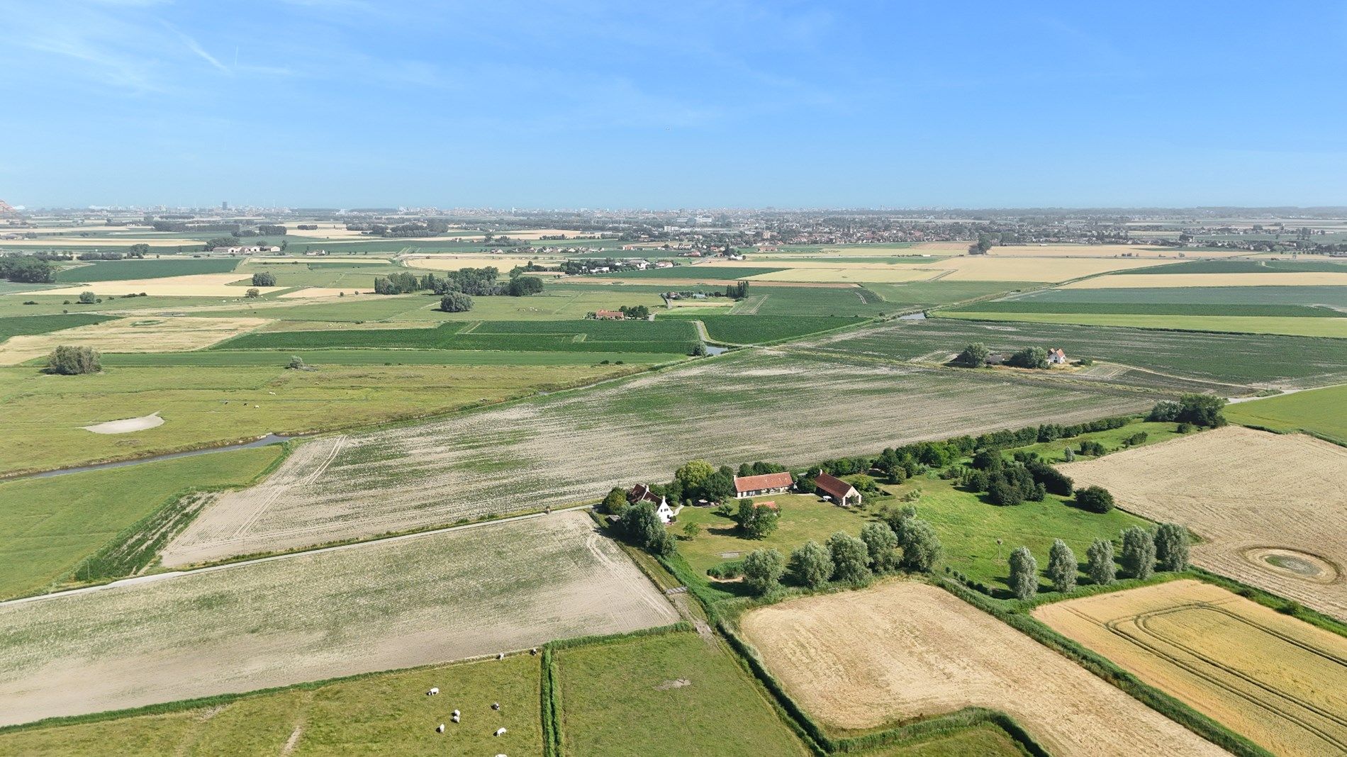 Mooi blok akkerland te Oostkerke. Vrij van gebruik. 10,51 hectare groot. foto 7
