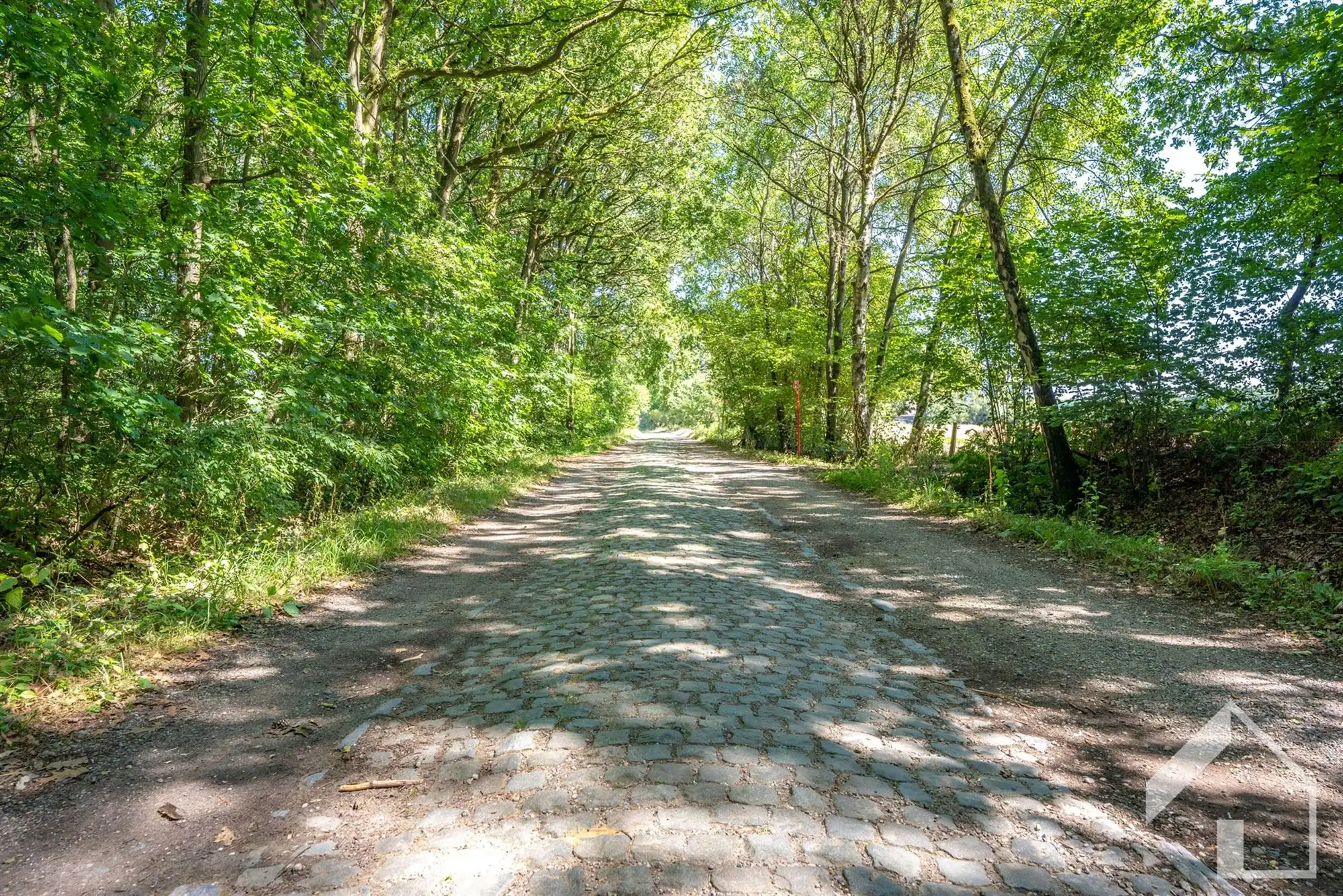 Uniek renovatieproject op uitzonderlijk domein van meer dan 4 hectare in Pulderbos foto 2