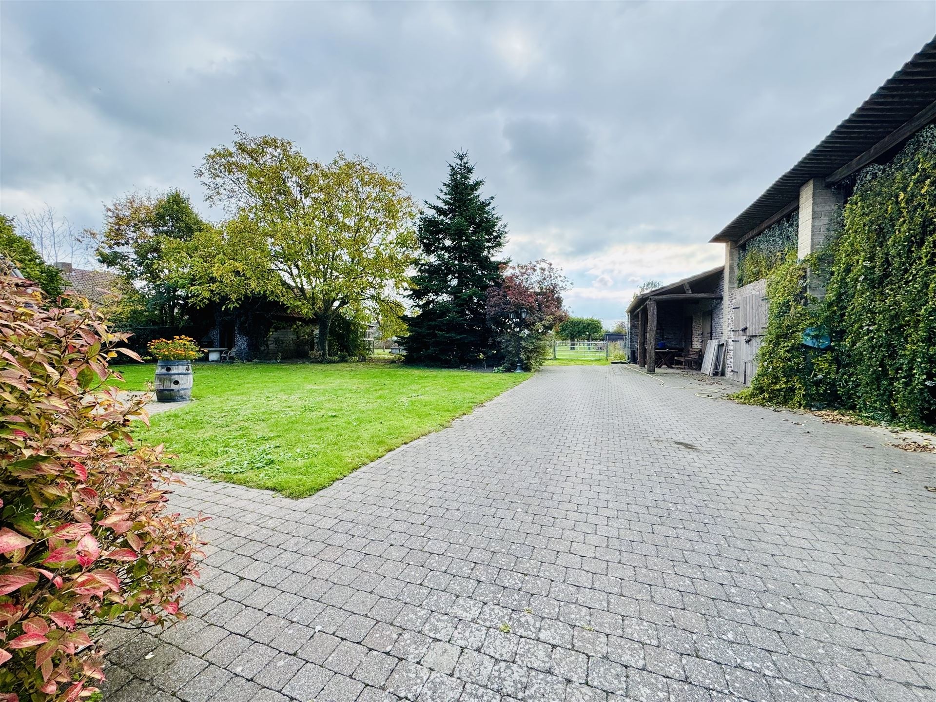 Hoeve met paardenaccomodatie. foto 47