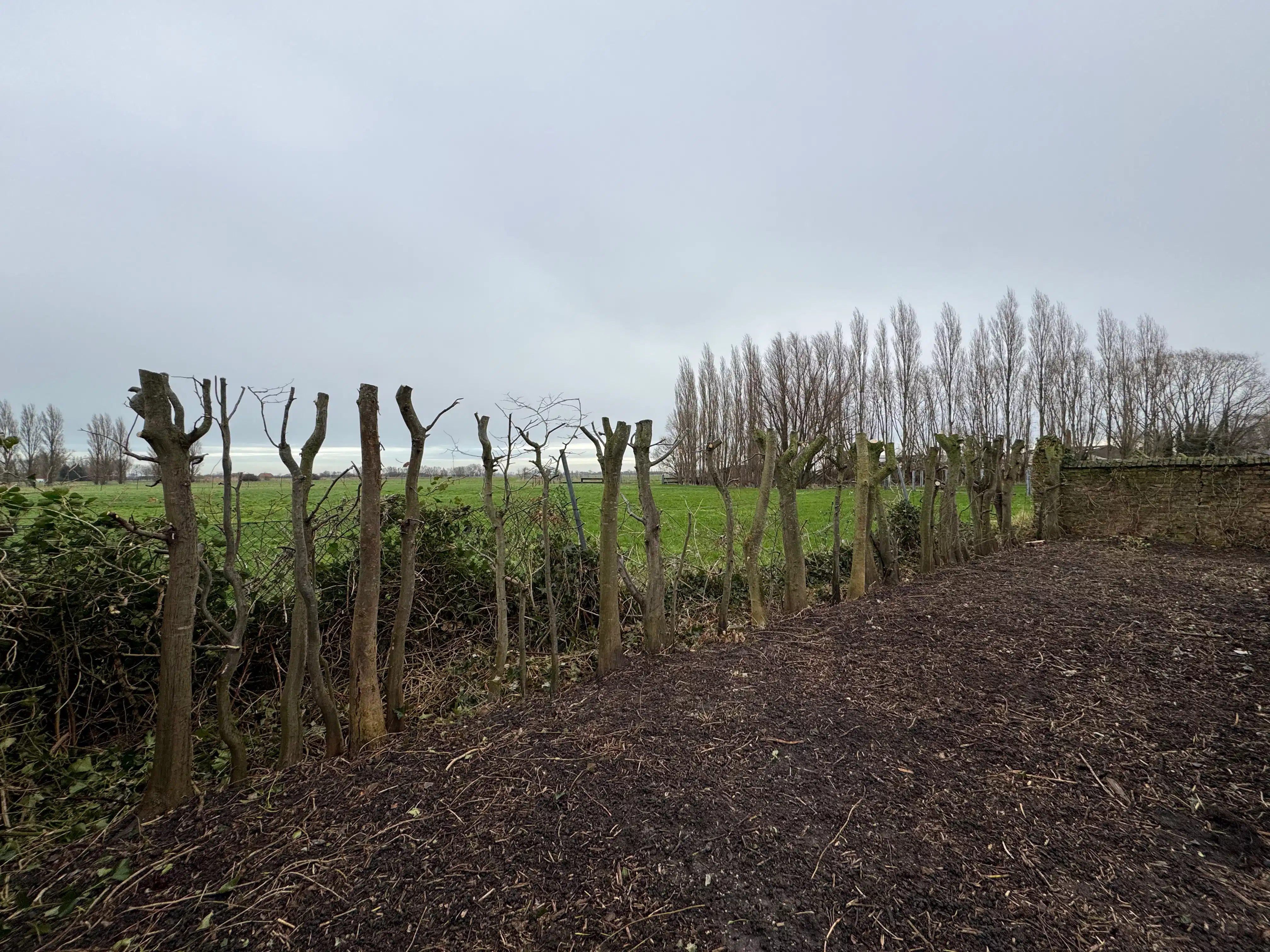 Karaktervolle dorpswoning met veel potentieel foto 6