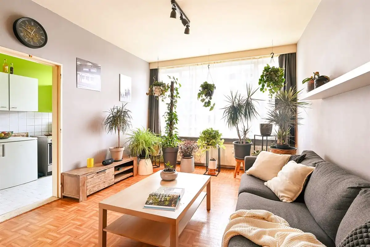 Te renoveren 2-slaapkamerappartement vlak bij Zurenborg foto 2