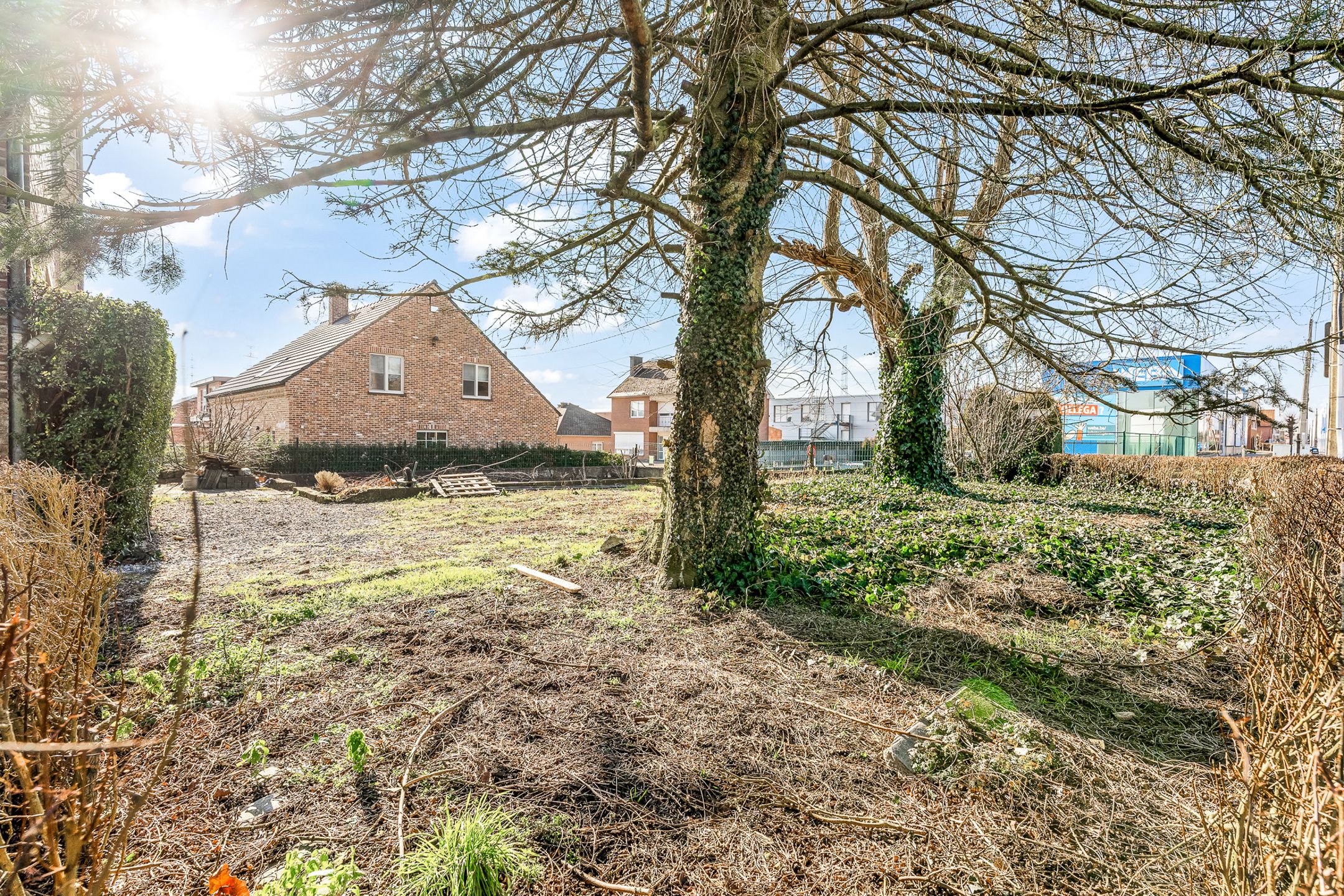 Gezinswoning + atelier op 10a50ca te Herderen foto 24