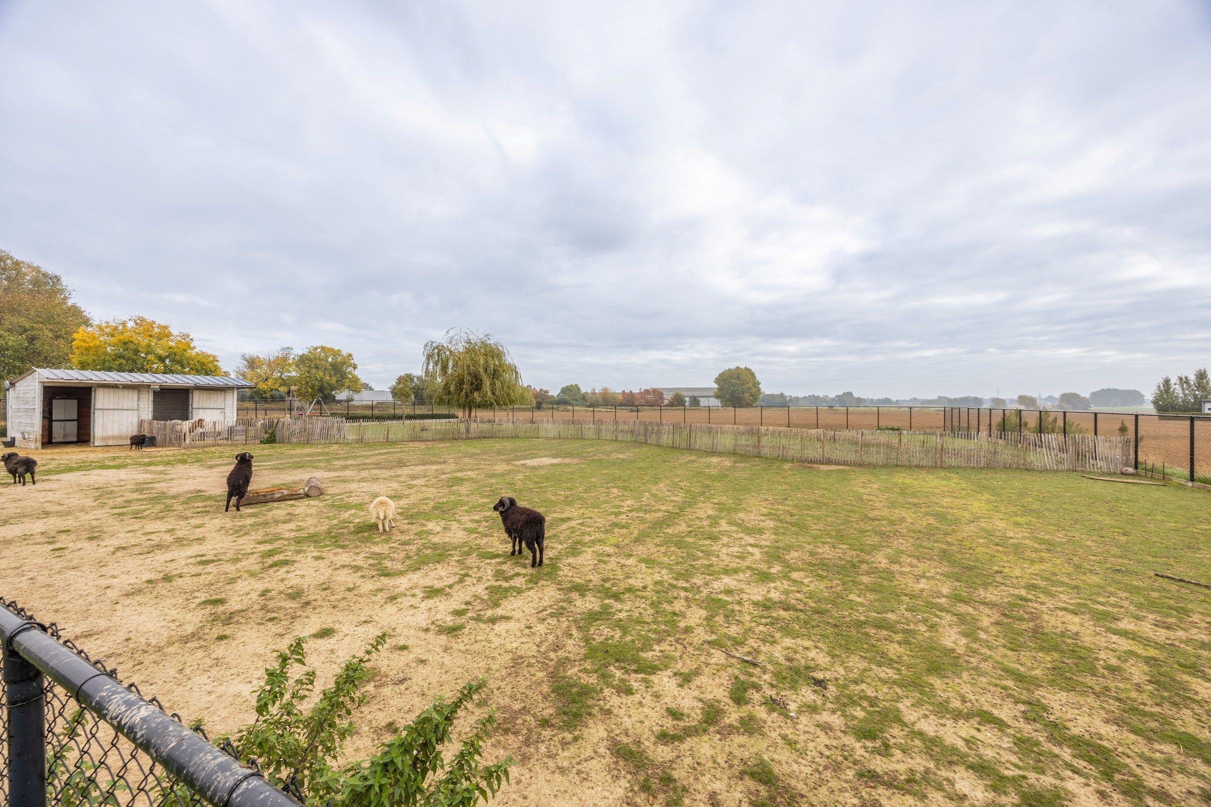 ARCHITECTURALE NIEUWBOUWVILLA OP RUIM LANDELIJK DOMEIN foto 40