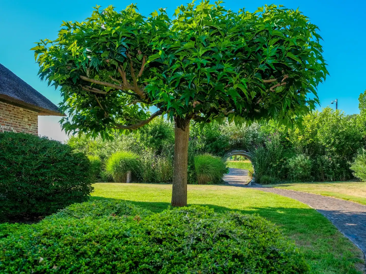 Het Spiegelmeer foto 46