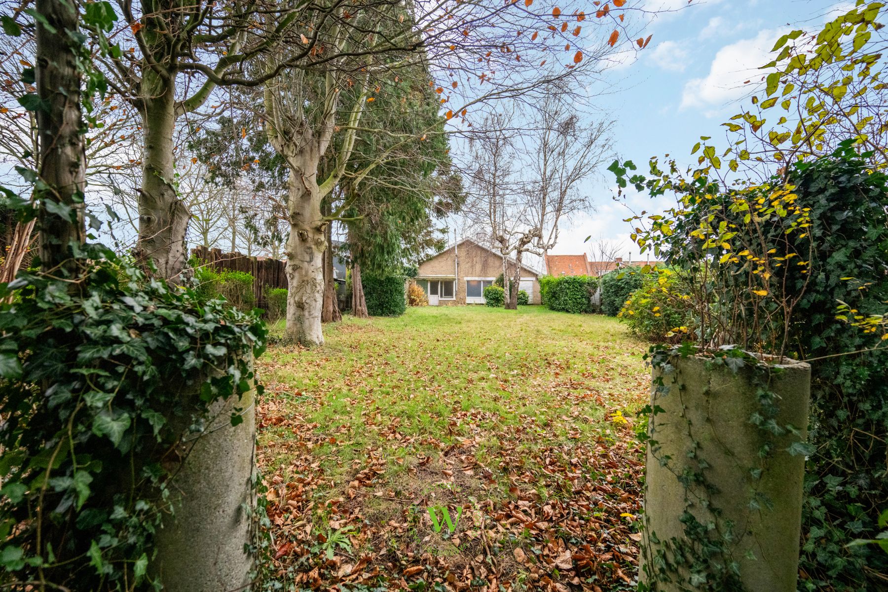 Te renoveren woning op topligging op 1.238 m² in Sint-Andries foto 9