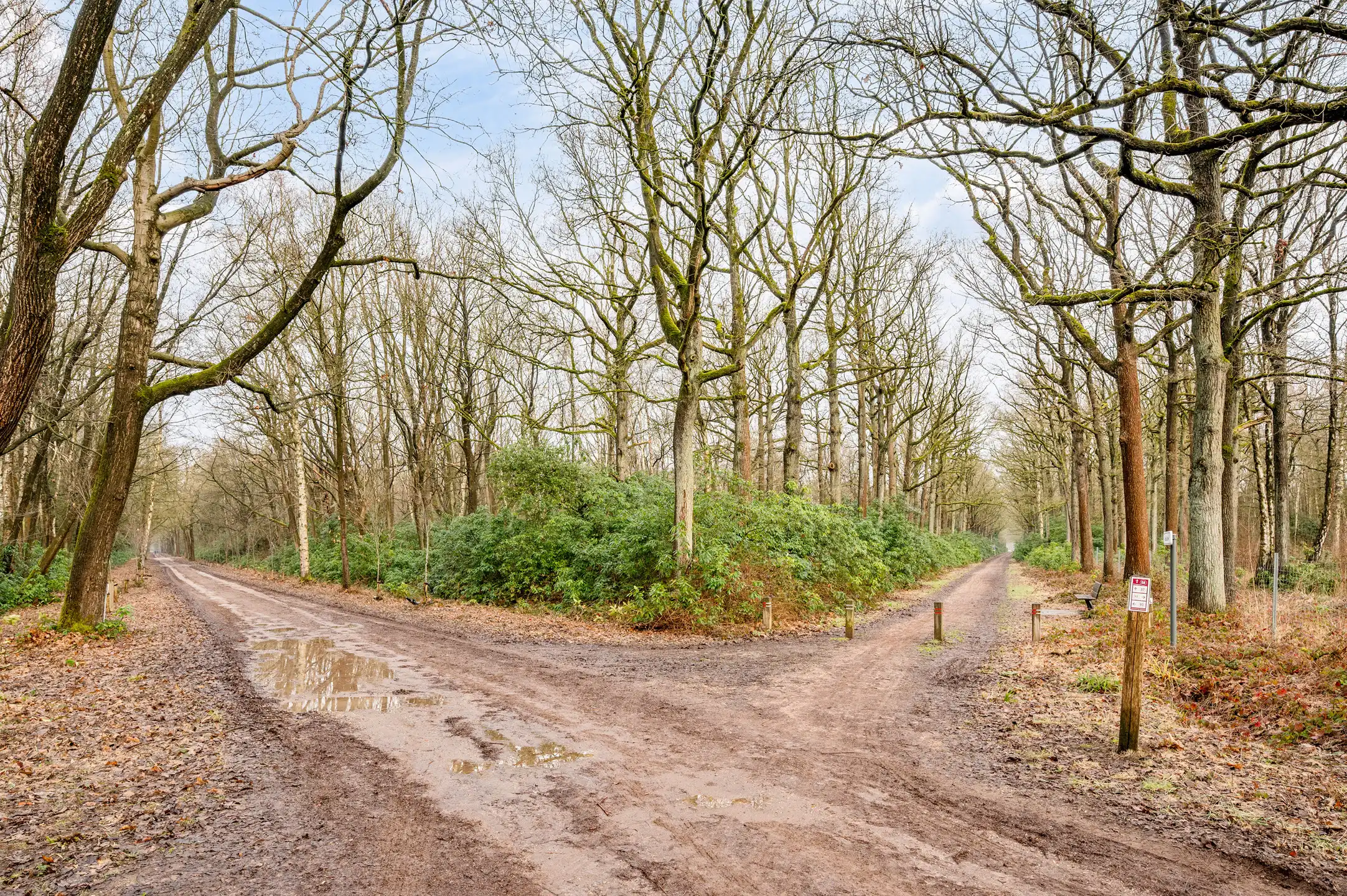 Perceel bosgrond te Gooreind! foto 7