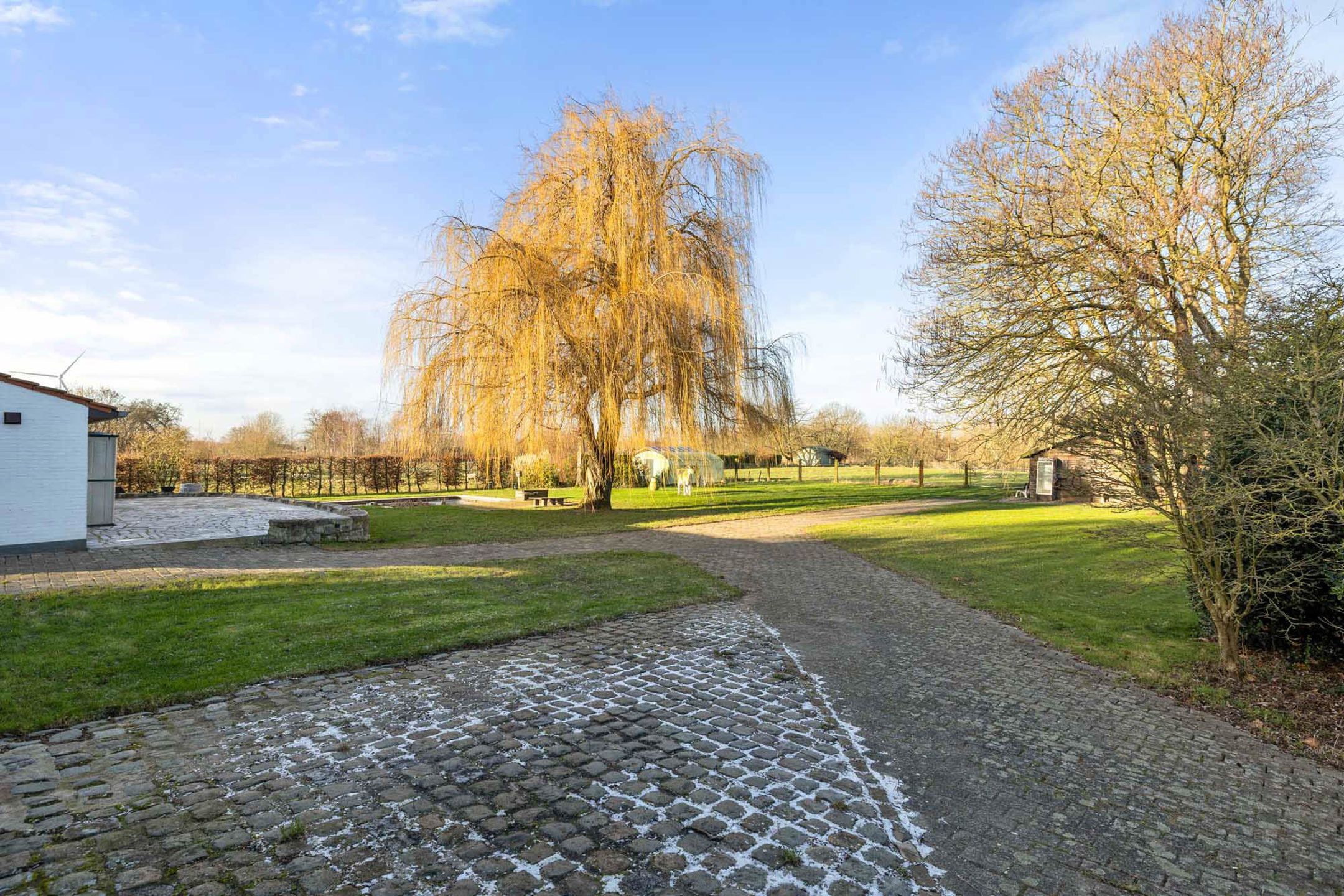 Prachtig landhuis met weidelandschap foto 5